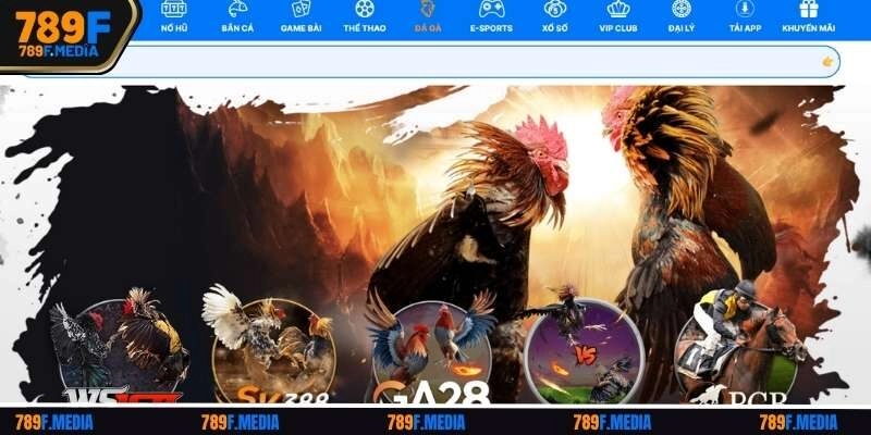 Giới thiệu về sảnh đá gà 789f